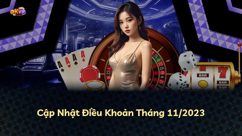 Cập Nhật Điều Khoản Tháng 11/2023