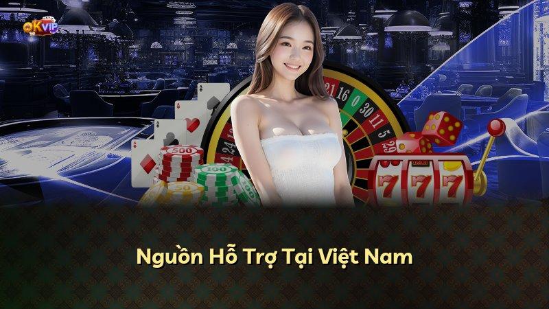 Nguồn Hỗ Trợ Tại Việt Nam