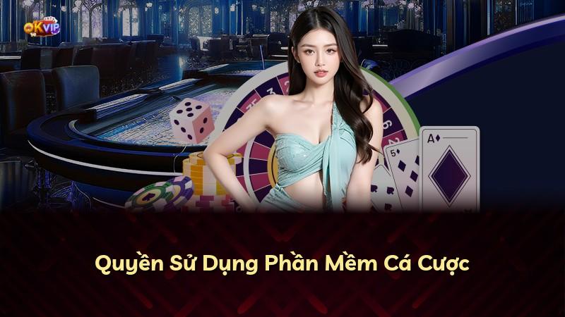 Quyền Sử Dụng Phần Mềm Cá Cược