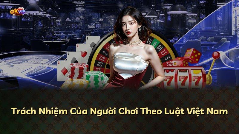 Trách Nhiệm Của Người Chơi Theo Luật Việt Nam